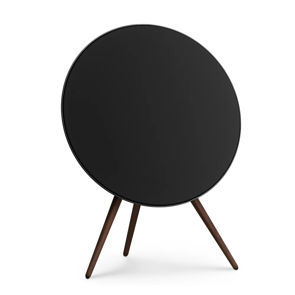Speaker B&O Beosound A9 5th Gen.
