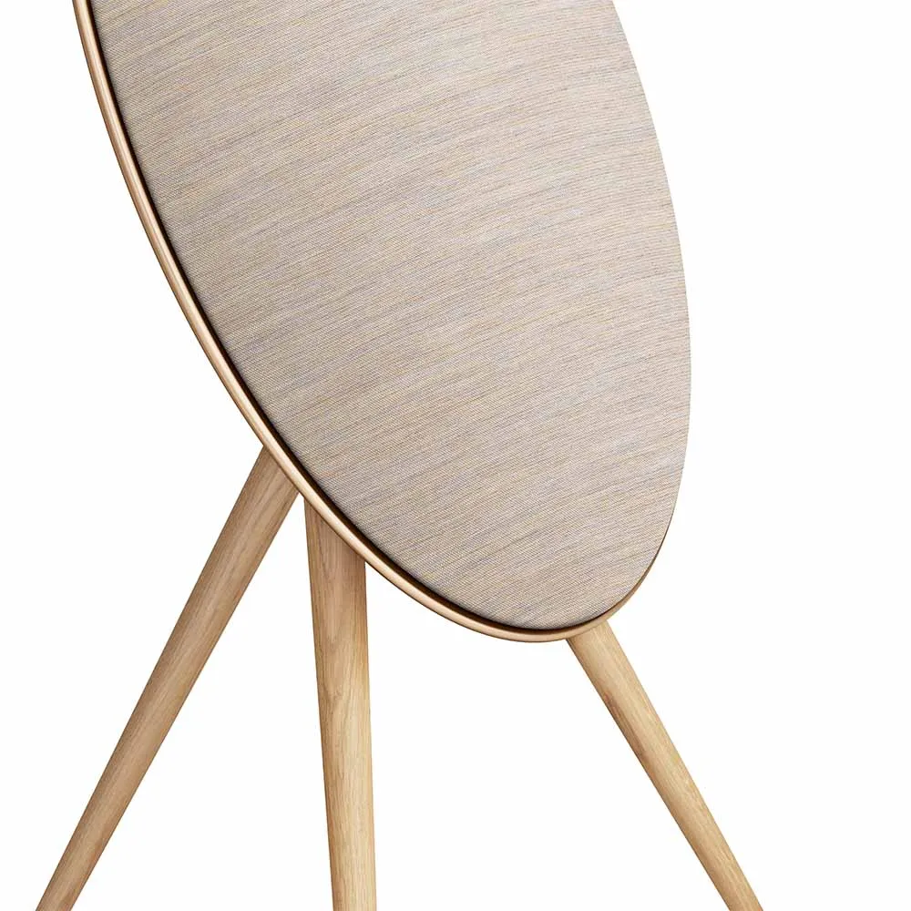 Speaker B&O Beosound A9 5th Gen.