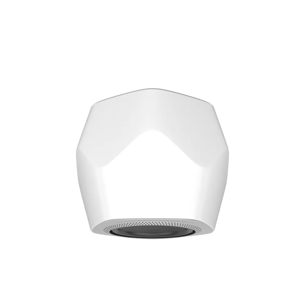 Subwoofer Beolab 19 B&O