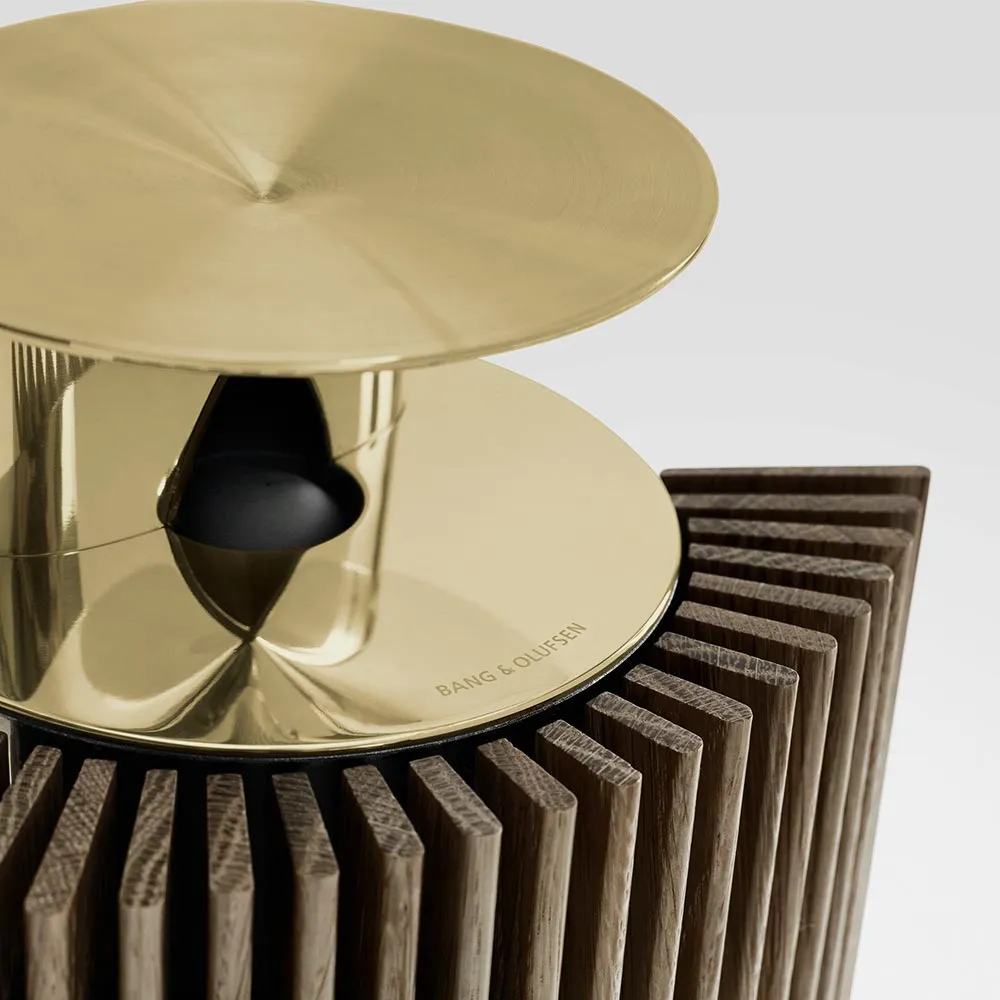 Speaker B&O Beolab 18