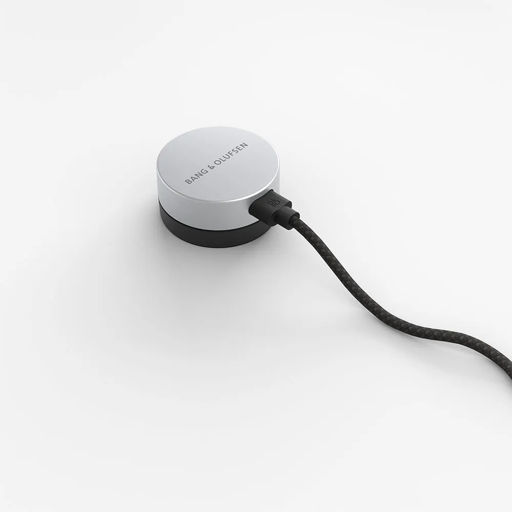Speaker B&O Beosound Level